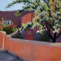 Blooming Santa Fe