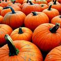 Pumpkins